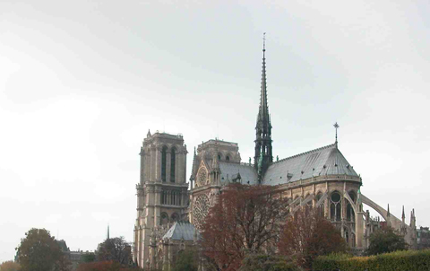 ND480.jpg